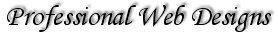 Professional Web Designs