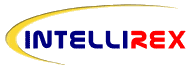 Intellirex Professional Web Design and Hosting Services