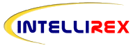 Intellirex Professional Web Design and Hosting Services